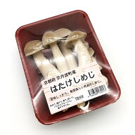 畑しめじ　約90g