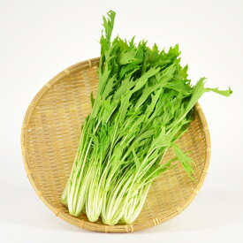 京みず菜 約200g袋