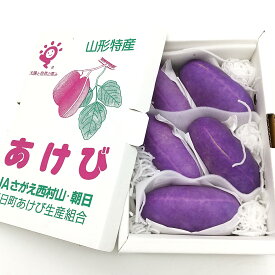 【翌日出荷可】あけび 秀品 箱売り(1kg前後) 山形県産【大田市場直送】