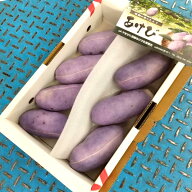 【翌日出荷可】あけび（訳あり/B品/小粒） 箱売り(1kg前後) 山形県産【大田市場直送】