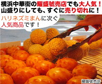楽天市場 芝麻球 ごま団子 個入 800g 冷凍商品 耀盛號 ようせいごう ヨウセイゴウ 横浜中華街 中華食材専門店 横浜中華街 ようせいごう