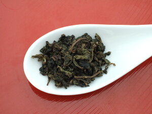 yGSωiebJmjz 1kgsj(悤EEZCSE)Ɩp