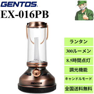 yoׁz ^ EX-016PB WFgX GENTOS ExplorerV[Y 300[ 8.5ԓ_ iK Lh [h X^CbV ^ EX016PB S