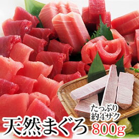 不揃いのごちそう天然マグロどっさり800g【中トロ入り】【まぐろ】【天然】【マグロ】《冷凍でお届けします。》【訳あり】【刺身】【送料無料】【冷凍サク】ごちそう 冷凍マグロ 訳あり 冷凍まぐろ 天然まぐろ 冷凍 マグロ 訳あり マグロ　訳ありマグロ