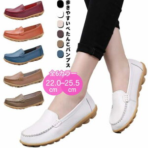 pvX ؂ fB[X [t@[ V[Y PU Ȃ  d ɂȂ tH[} A ʋ w