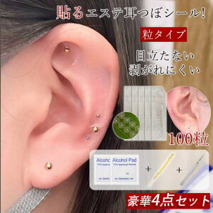 ڃV[ ^Cv 100 4_Zbg AM[Ή XeX ڃWG[  ◱   NOb