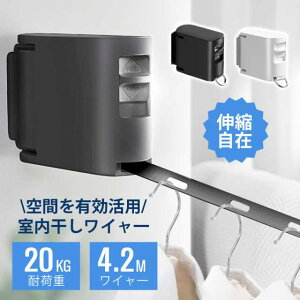  C[ C[ 󃏃C[ ˂   RpNg    Lk J[e 