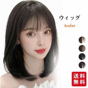 EBbO EBbO sȂ ~fBA fB[X  O Xg[g  fB[X Of[V oO R ig   oȂ RXv l 