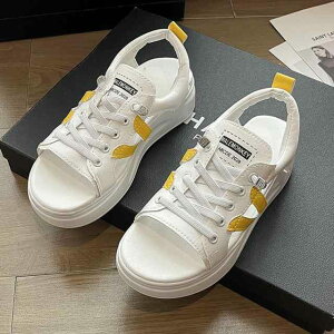 T_  fB[X Xj[J[T_ X|[cT_ r[`T_ T_  RtH[g ₷ r