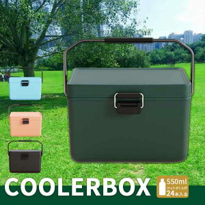 ポイント超超祭 クーラーボックス 小型 12L アウトドア 保冷 ボックス コンパクト クーラーバッグ 収納ケース BBQ キャンプ アウトドア 釣り 軽量