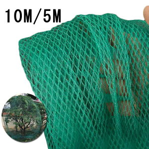 10m hhlbg 5m Ă钱lbg h ׂڍłyʔ_|p ʎp JX悯lbg ʎ͔|Ƀsb^  hhlbg Jbg\