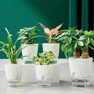 植木鉢 自己給水 プランター ポット プラスチック製 現代風 装飾 家庭植物 多肉 花植物 ハーブ サボテン 適用 水耕栽培 観葉植物 底面給水