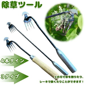 背[L VA[eBt@Ng XeX  pr y 4{^C 3^Cv Kȕ pr  G G G΍ 蓹 K[fjO  c Ő 