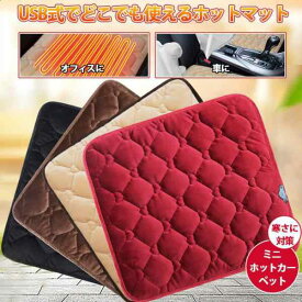 ホットマット 一人 洗える ミニ ホットカーペット 電気ヒーター ペット 足元 USB 椅子 座布団 キャンプ 車アウトドア オフィス