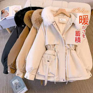 _EWPbg fB[X ȃR[g ʋ ʊw   O  ꂢ ~fBA H ~ t[ht