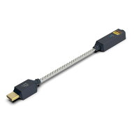 iFi audio GO link 2 USB DAC内蔵ヘッドホンアンプ IFI-GO-LINK2「在庫有」