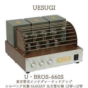 UESUGI UEBROS-660S ^ǎCeO[ebhAv(VojAА 6L6GAY o͊ǎdl 12W+12W)