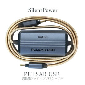 Silent Power Pulsar USB 1個 高性能アクティブUSBケーブル SLP-PULSAR-USB iFi Audio「在庫有」