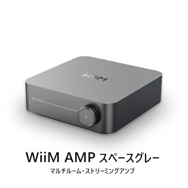 WiiM AMP スペースグレー マルチルームストリーミングアンプ wiim amp gray WiiM-Amp SPGY「在庫有」