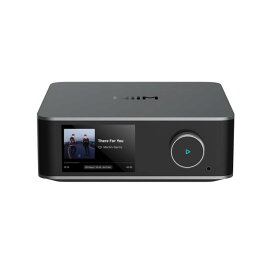 WiiM WiiM Ultra スペースグレー ネットワークストリーマー WIM-WULTRA-SG