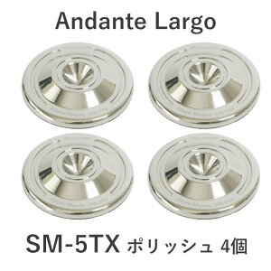 Andante Largo SM-5TX/P4 |bV/4@XpCN Silent Mount