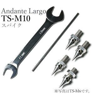Andante Largo TS-M10 lWa10mm sb`1.25mm XpCN Through Hole Spike 4/1Zbg