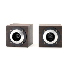 FOSTEX GS17H �y�A �X�[�p�[�c�C�[�^�[�V�X�e��