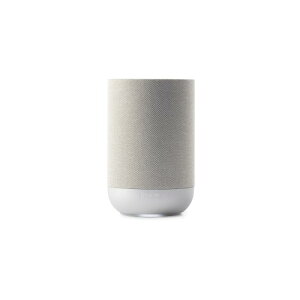 DENON HOME 200 �X�g�[���E�V���o�[ 1�� Dolby Atmos�Ή����C�����X�X�s�[�J�[ DENONHOME200S