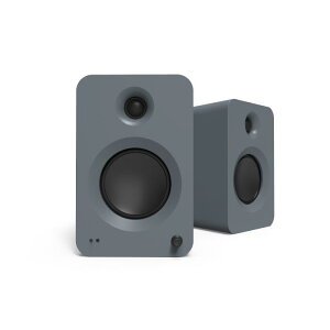 KANTO AUDIO REN �}�b�g�O���[ �y�A �A�N�e�B�u�X�s�[�J�[ RENMG-MATTEGREY