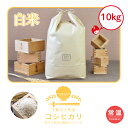 スーパーセール SALE 令和7年産 コシヒカリ 10kg 単一原料米 本州送料無料 千葉県産 白米 吉田米屋