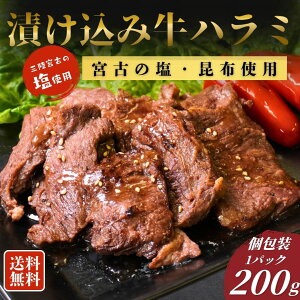 Ђ݋n~ 200g`1.2kgi1pbN200gjst   {  ē 񂹃O  Mtg BBQygcX^z