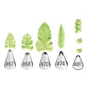 Wilton EBg  [t ؂̗t ACVOi