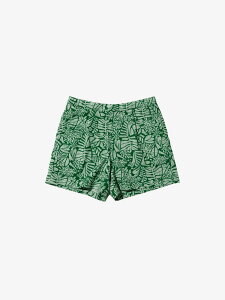 UEm[XEtFCX [THE NORTH FACE] AnxgV[cifB[Xj TNF{^jJO[(BG) NBW42330-BG