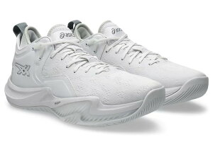 AVbNX m@ T[W [ 2 `asics NOVA SURGE LOW2 ` (White/Pure Silver) 1061A051-100