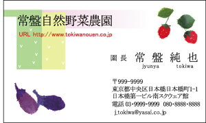 hЖʃtJ[^h쐬100NbN|Xgyz