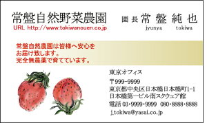 hЖʃtJ[^h쐬100NbN|Xgyz