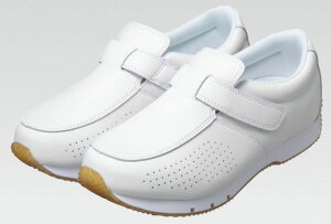 KAZENiJ[jV@\i[XV[Yi}WbN^Cvj@a@@{݁@{݁@@@fBJ@Ōt@m@C@zCg@@@߁@ʋC@NbV@~XyA