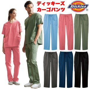 DickiesfBbL[Y@J[Spc@XNuߗppc Xg[g jp Xgb` EGXgЂ SS~4L sN u[ x[W lCr[ FOLKtH[N 5017SCyz