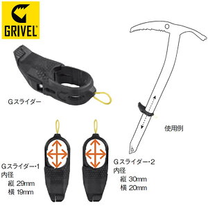 Ox G XC_[ 779081 GVPJGSLIDERx Ki