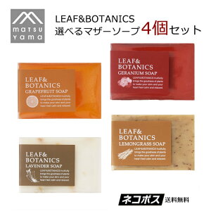  }U[\[v Iׂ4Zbg R [t{^jNX(LEAF&BOTANICS) matsuyama m}[N YΌ R Ό RΌ JuA{a