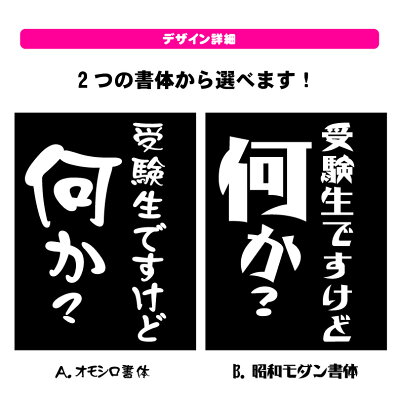 楽天市場 受験生ですけど何か おもしろｔシャツネタの提供 M様メンズレディースキッズベビー プリントハウスフォーティーン