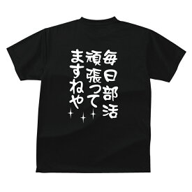 おもしろ tシャツ 毎日部活頑張ってますねや ギフト プレゼント メンズ レディース キッズ 半袖 綿100％ ぽっちゃり セクシー