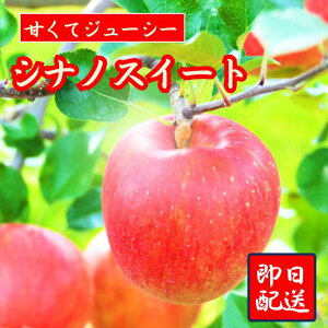 �y�������I�I�I�z�V�i�m�X�C�[�g ��� 10kg �������� �X �H�c �ƒ�p �H�� ���� 3�L�� �������� �t���[�c �ʎ� �A�b�v�� �󂠂� ���� �����S �X�}�[�g�t���b�V�� �h�{�f ��񂲐| ���� �{