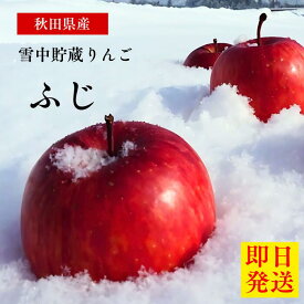 ポイント2倍【秋田雪中貯蔵】ふじ りんご 10kg 5kg 特A ふじ 秋田県産 青森県産 3kg ギフト りんご 贈答 フルーツ 送料無料 果実 フルーツ 甘い おすすめ リンゴ酢 りんご保存方法 父の日 ギフト 甘い林檎 フルーツギフト 最適 贈答用 果物