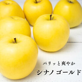 【お買い物マラソン5％割引クーポン券発行中】シナノゴールド りんご 訳あり 5kg 10kg 送料無料 秀品 青森 秋田 家食卓 直送 3キロ 送料無料 フルーツ 果実 アップル 訳あり お得 リンゴ スマートフレッシュ 栄養素 りんご酢 安い 旬のりんご