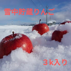 【雪中貯蔵りんご】 秋田県 3キロ 家庭用 ギフト ふじ ふじりんご りんご 贈答 美味しい 雪室 リンゴ 高糖度 フルーツ