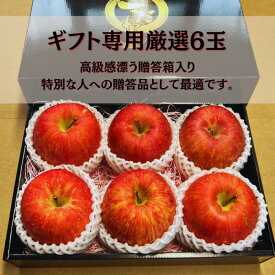 ふじ ギフト ギフト 林檎 りんご 贈答 りんご 贈答用 送料無料 サンふじフルーツ お中元 ギフト 送料無料 貯蔵 果物 リンゴフルーツギフト 貯蔵りんご 青森 秋田 誕生日 お祝い