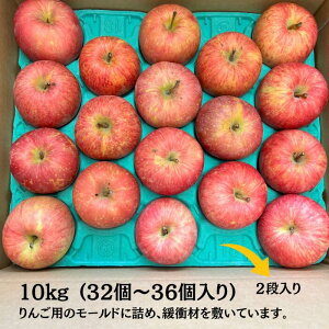  ӂ Tӂ 10kg   tW X Hc S|   ь t[c ʕ S t[cMtg R|[g SW[X Zbg  10kg 5kg 3kg 