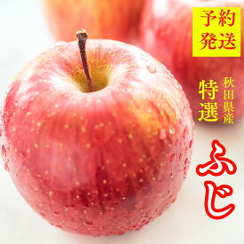 【ポイント2倍さらに割引中！】りんご ふじ サンふじ 10kg 送料無 りんご フジ 青森 秋田 リンゴ酢 お得 美味しい 林檎 フルーツ 果物 リンゴ フルーツギフト コンポート リンゴジュース セット りんご 10kg 5kg 3kg お取り寄