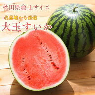 【訳あり】スイカ 大玉 訳あり スイカ 送料無料 1玉 大玉スイカL 2L 3L 夏ギフト 秋田県産 秋田夏丸 夏休…